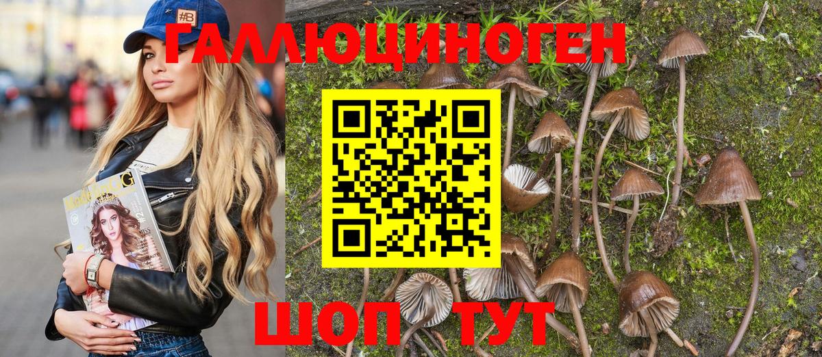 Галлюциногенные грибы Cubensis  где купить   Гай  Вход с VPN 